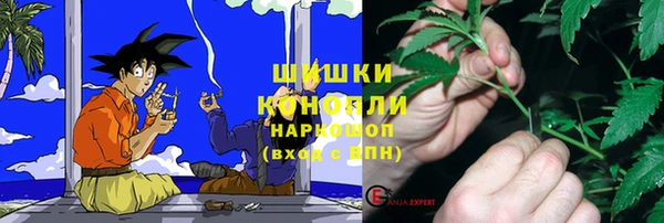 ешки Новодвинск