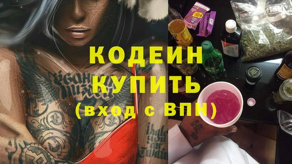 ешки Новодвинск
