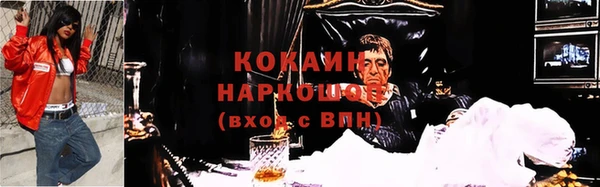 ешки Новодвинск