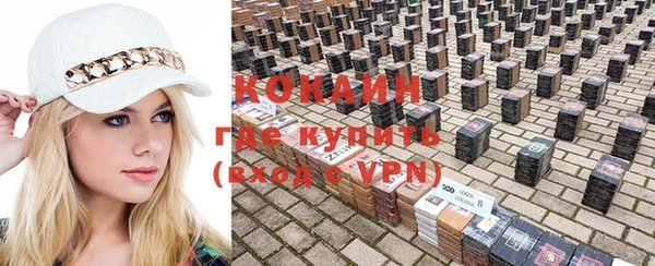 ешки Новодвинск