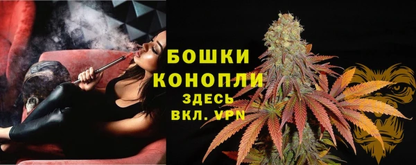ешки Новодвинск
