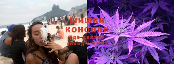 гидропоника Новокубанск
