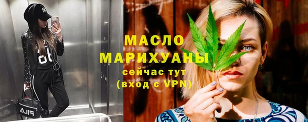 ешки Новодвинск