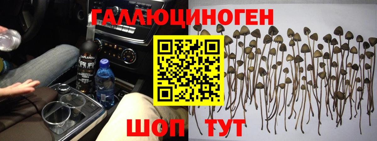Псилоцибиновые грибы Magic Shrooms Богородск