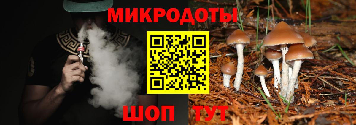 Галлюциногенные грибы MAGIC MUSHROOMS  Богородск  Галлюциногенные грибы Psilocybine cubensis 